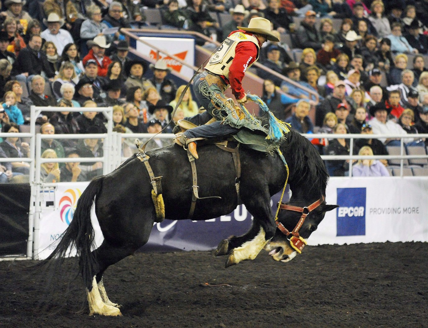 Canadian Finals Rodeo leaves chute in Edmonton, hits trail for new home